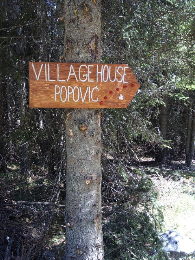 Village House Popovic 자블야크 외부 사진